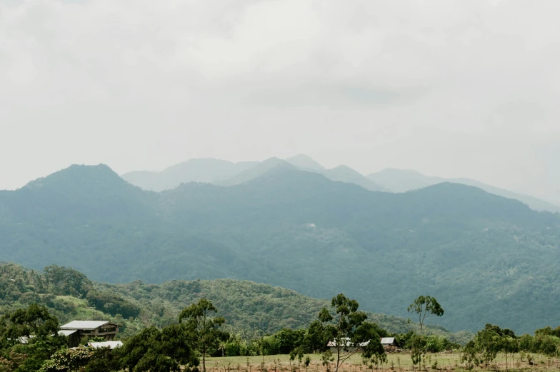 green trees and mountains under a cloudy sky