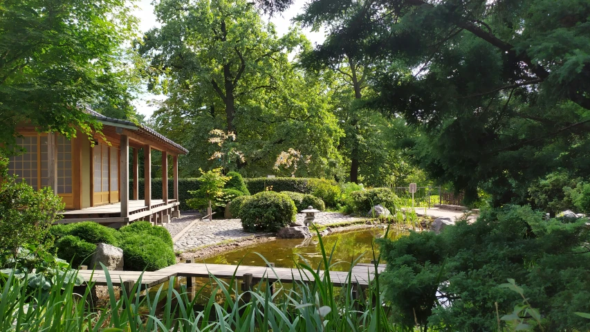 a pond sits between several benches and some trees