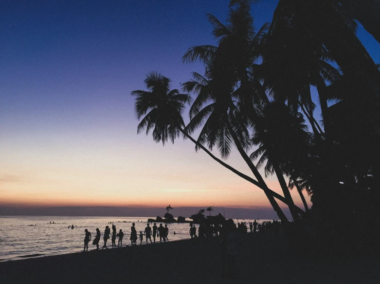 several people standing on a beach near the water