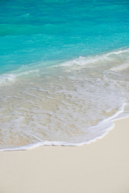 a bird standing in the middle of a beach next to the ocean