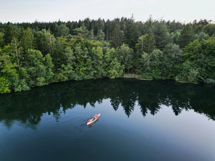 a canoe glides in the water through a wooded area