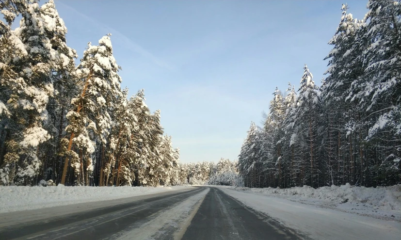 snow is covering the roads in front of many trees