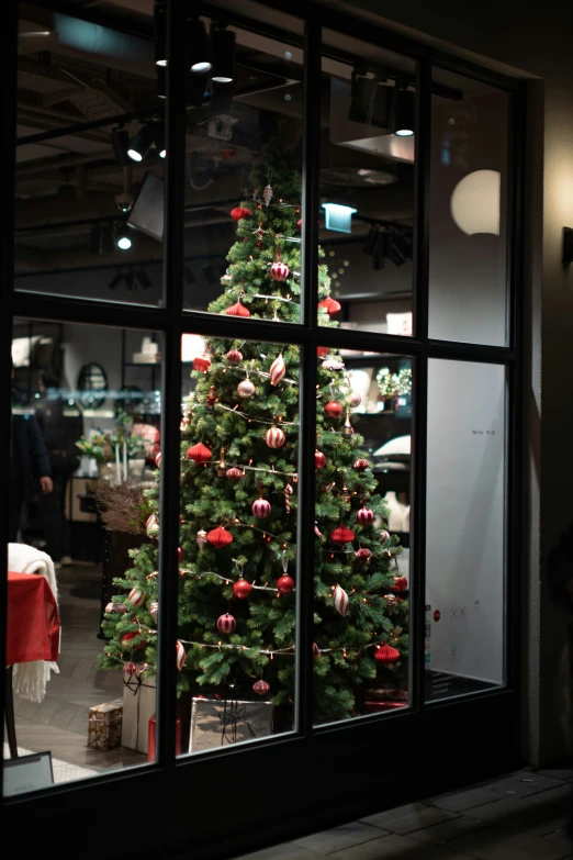 a christmas tree in front of a window