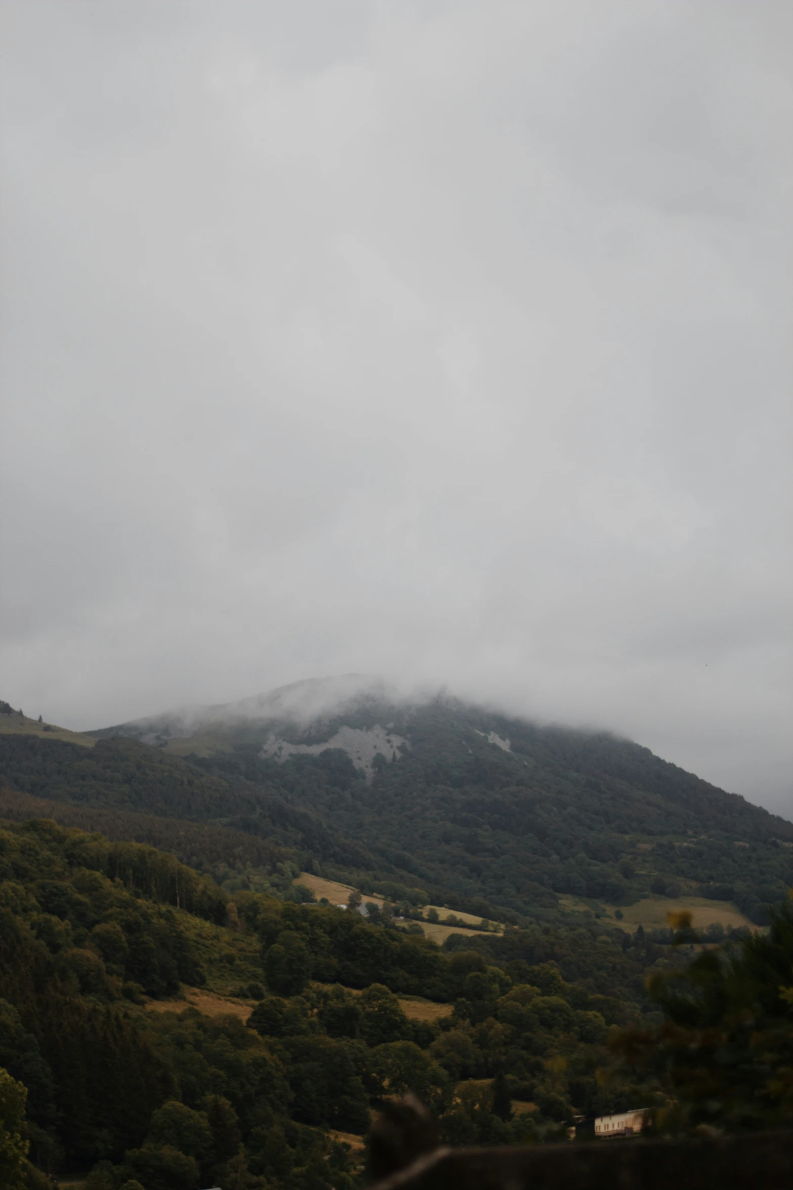 mountains covered in trees under a cloudy sky