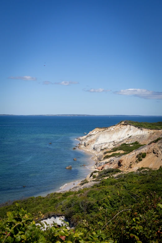 the shoreline has a green patch growing along the edge