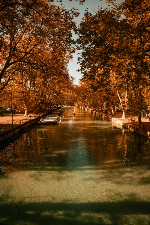 a lake surrounded by autumn trees and a house on the other side