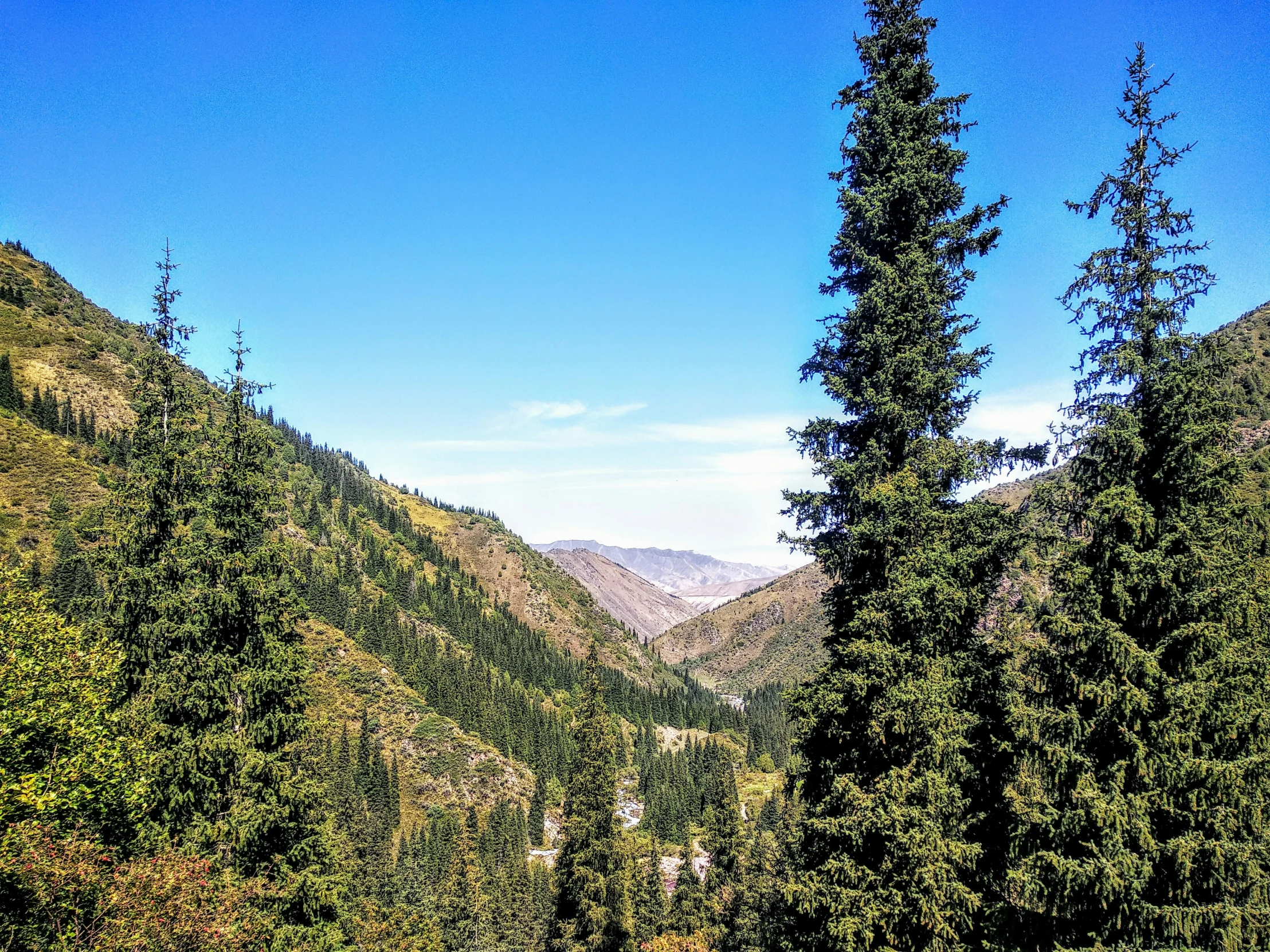 a view from a mountain overlook in the distance