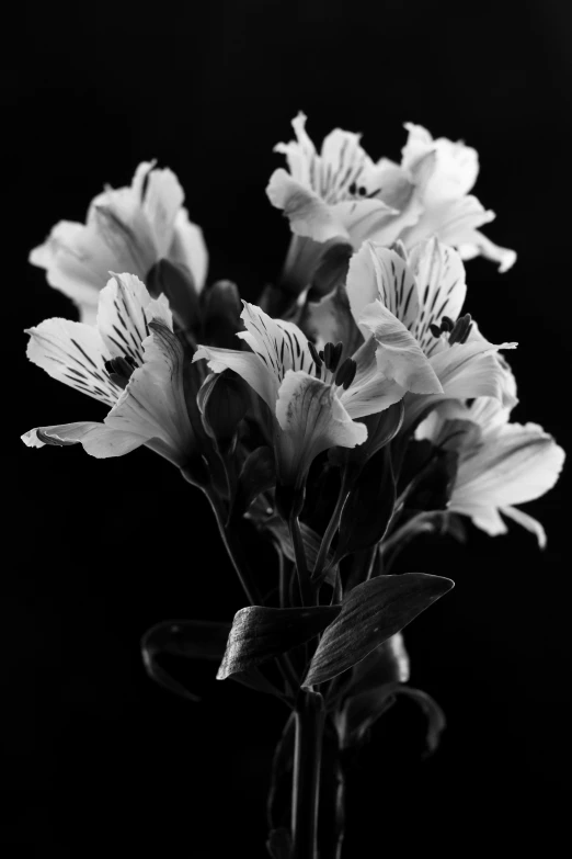 black and white po of a vase with a flower bouquet