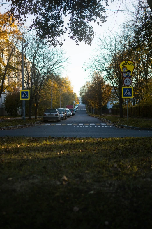 cars are parked in the street in the fall