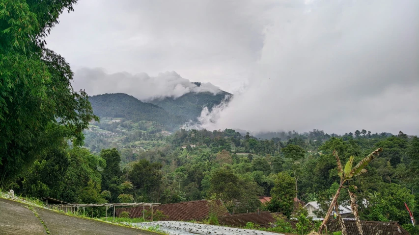 a forested mountain range covered in foggy clouds