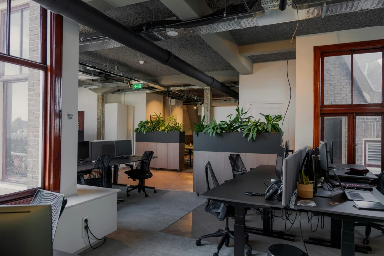 a large office has desks, monitors, and lots of plants