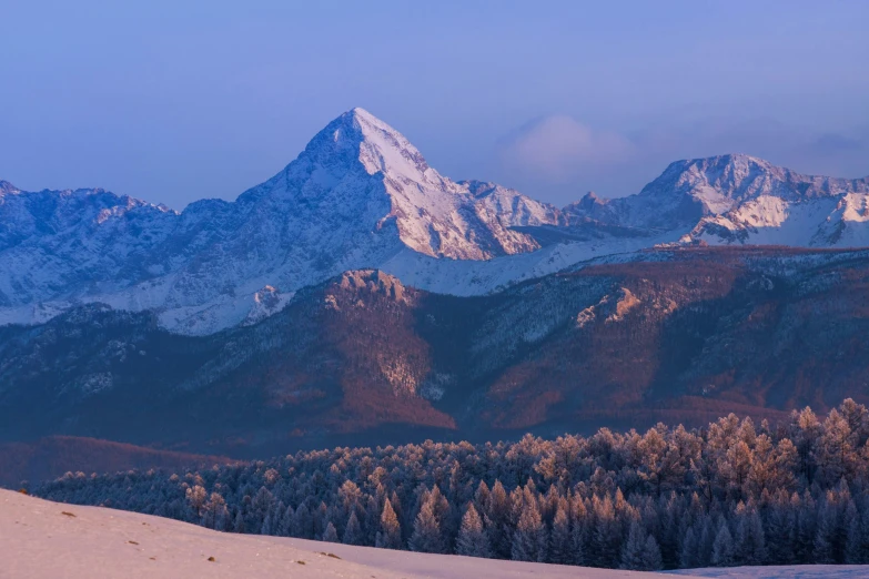 some very tall mountains and snow covered trees