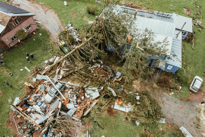 a tree in a yard next to a house with other items strewn around