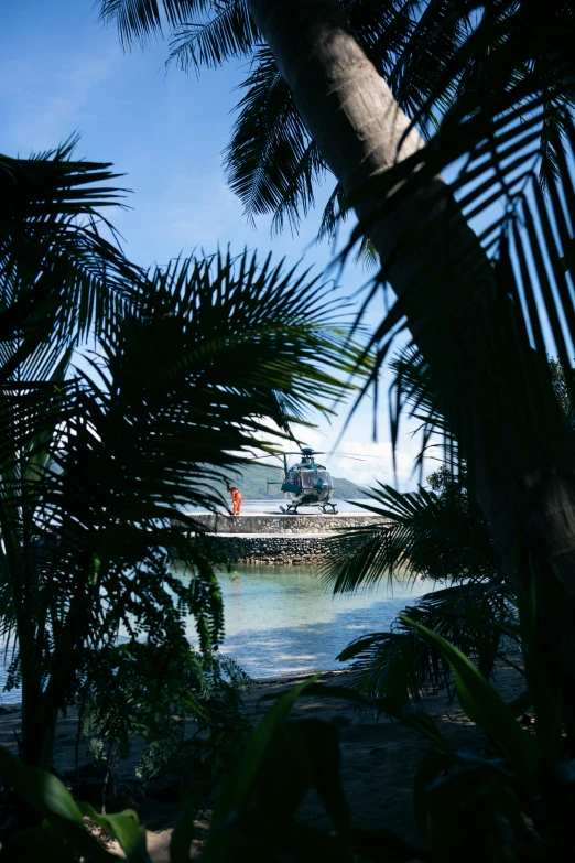 a beach is surrounded by palm trees and rocks