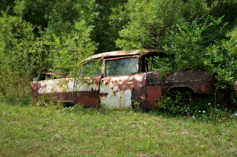 an old rusted out truck and a dog walking in the grass