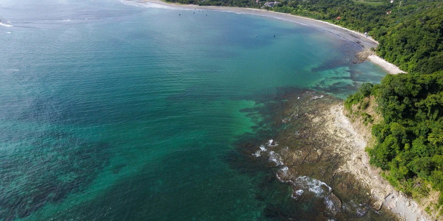 an aerial view of a lush green sea side