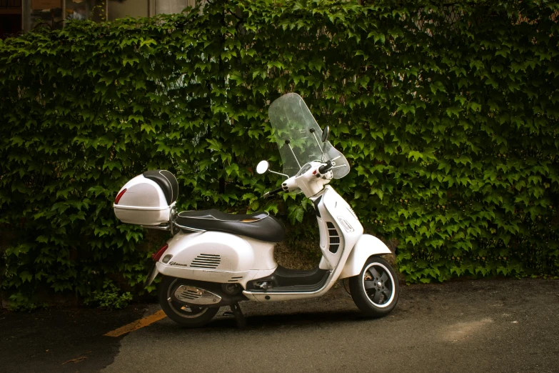 a white motor scooter parked in front of a hedge