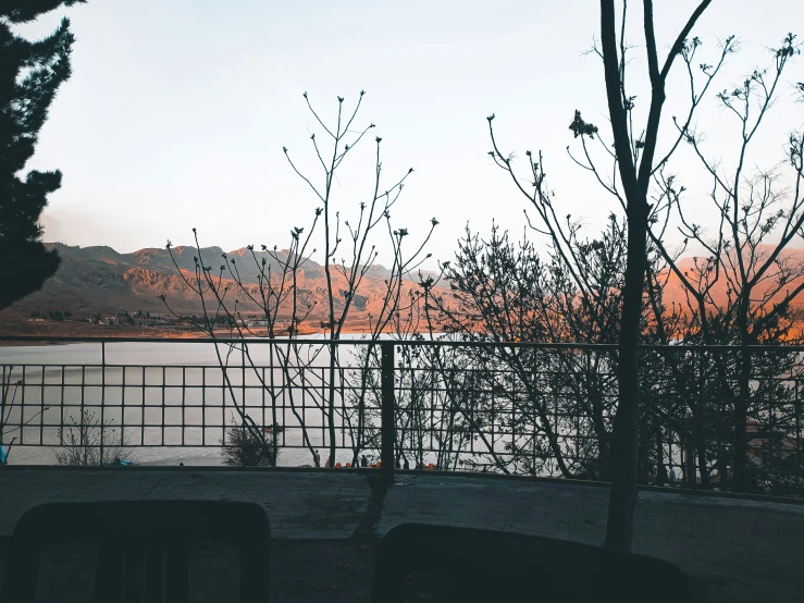 an image of some trees and water