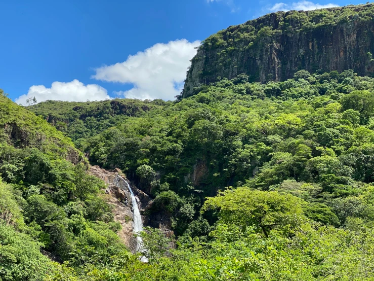 a waterfall flowing through a lush green forest