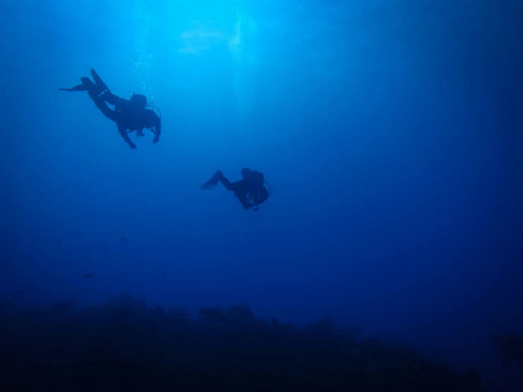 two scuba enthusiasts swim beneath an ocean surface