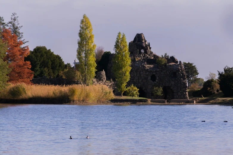 the birds are swimming in the lake beside the castle