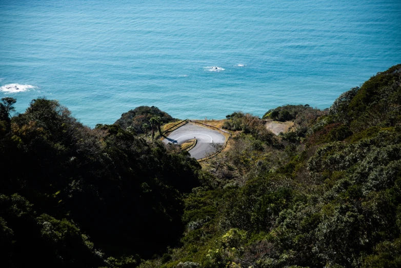 a beach with cars on the road surrounded by trees