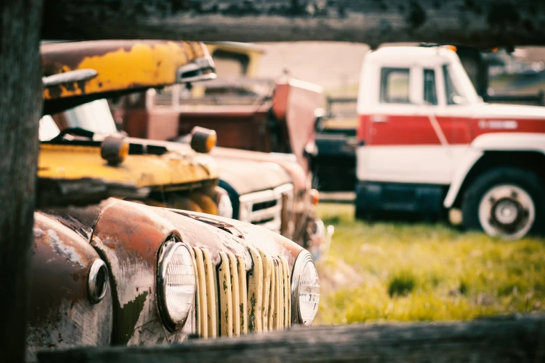 there are many different old trucks in the yard