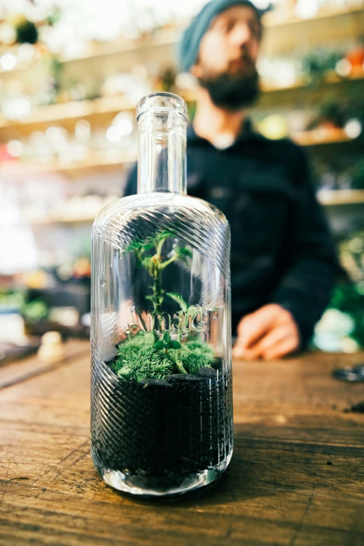 someone is looking into a small glass bottle with a plant in it