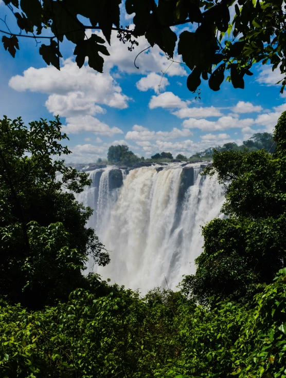 the water falls in front of a tree line