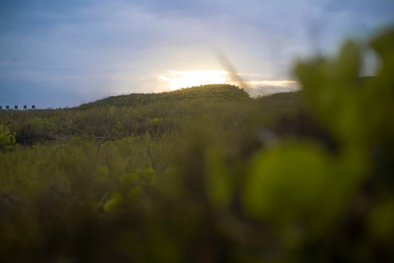 sunlight over hills and vegetation on grassy plain