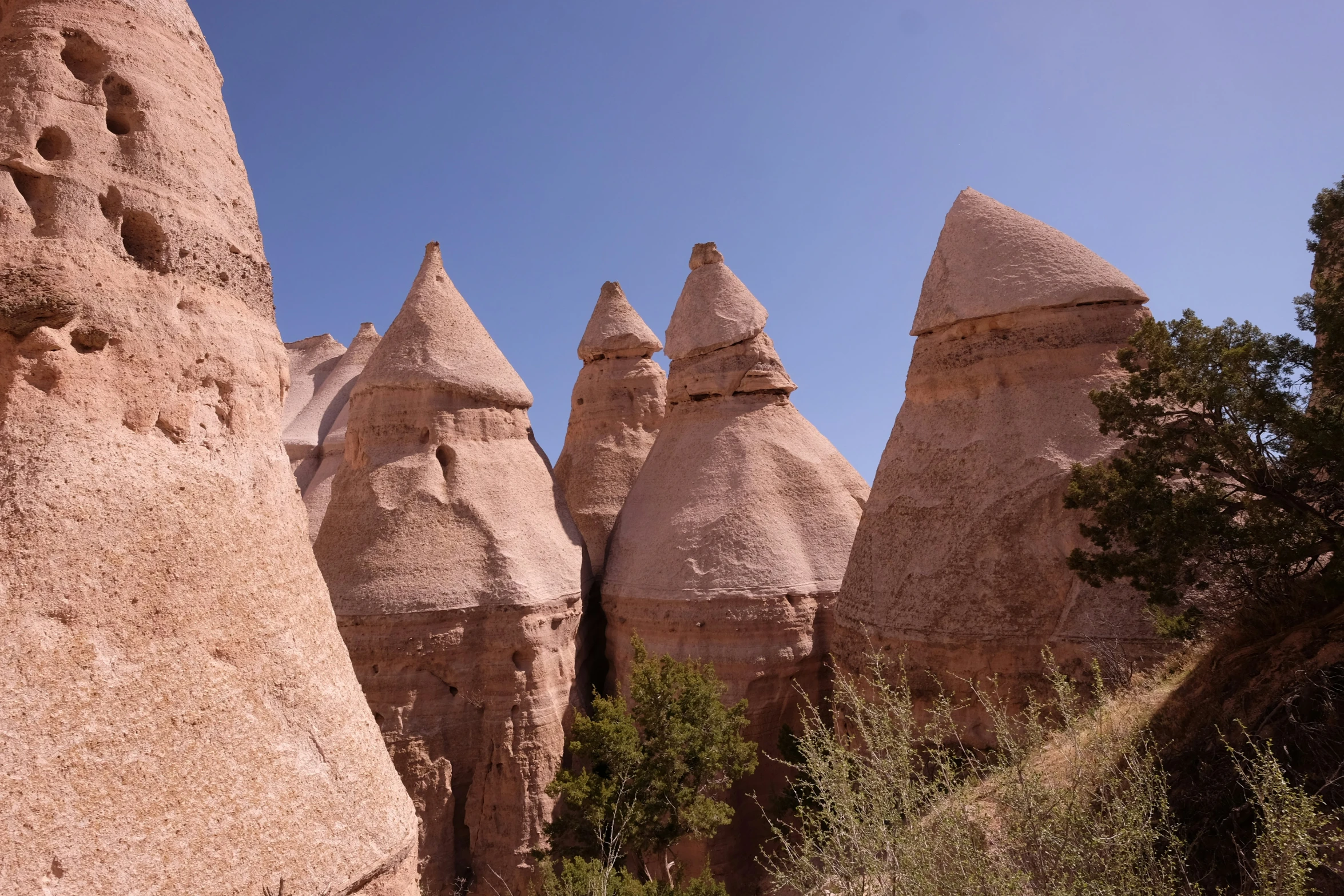 strange shapes rock formations and trees in the desert