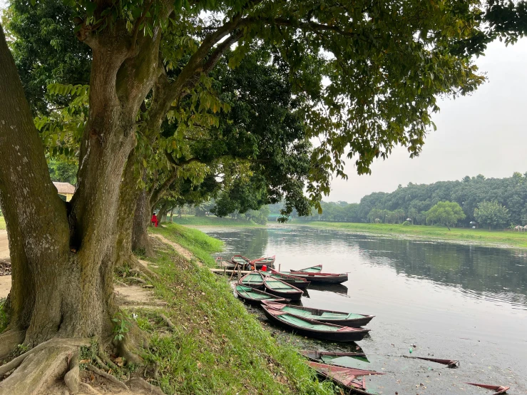 small boats sit near the bank of a river