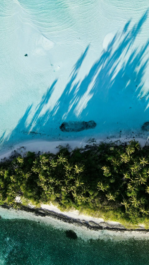 an aerial view of some water and trees