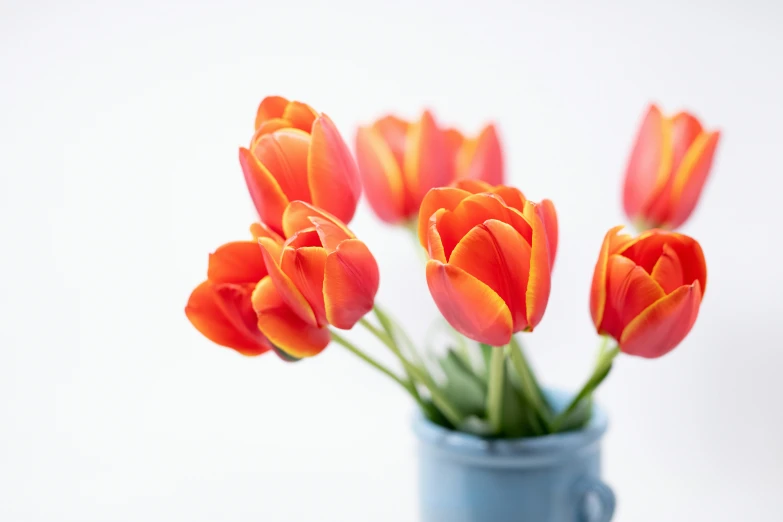 a blue vase filled with lots of orange tulips