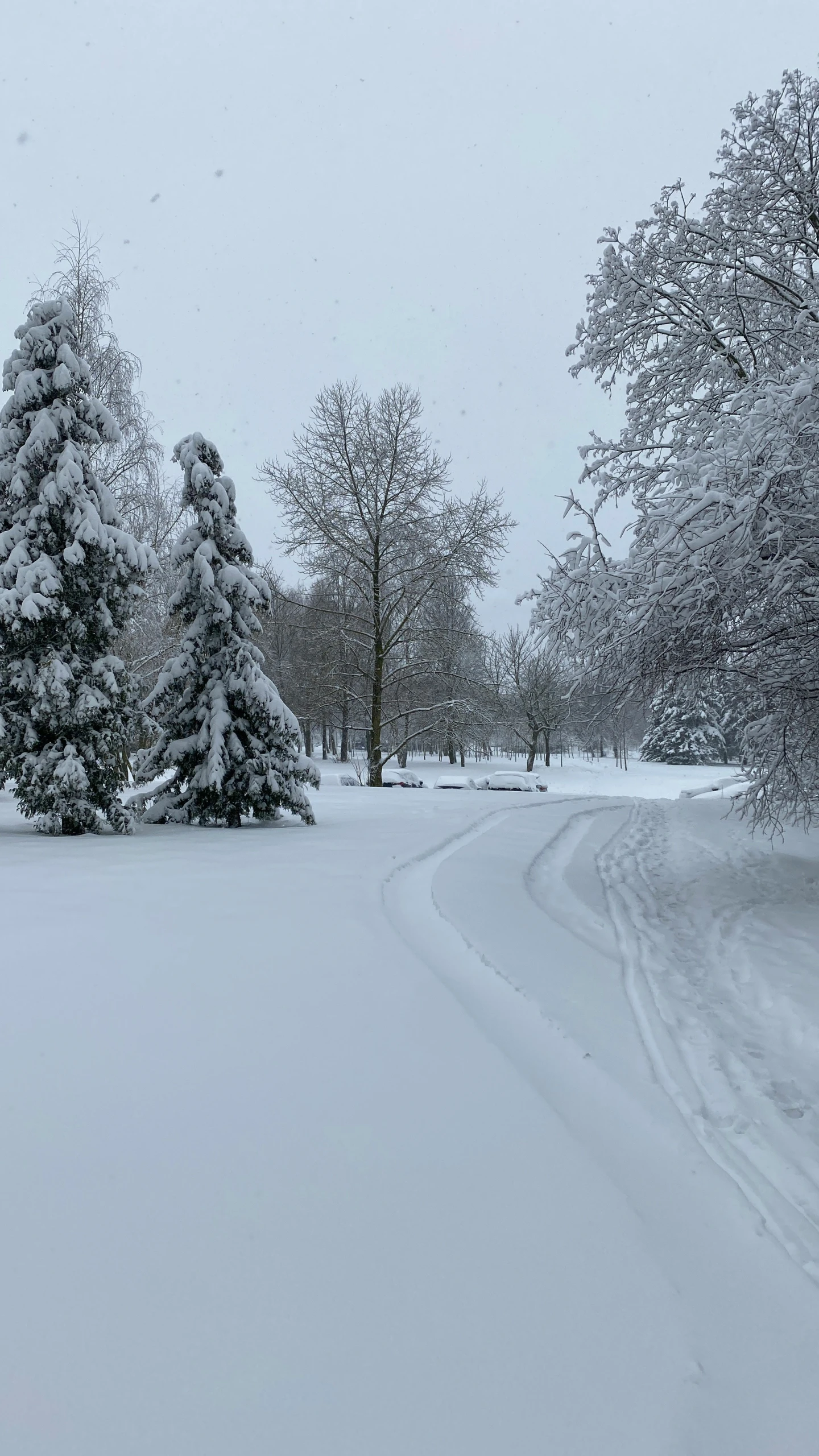 this is a road in the snow surrounded by trees