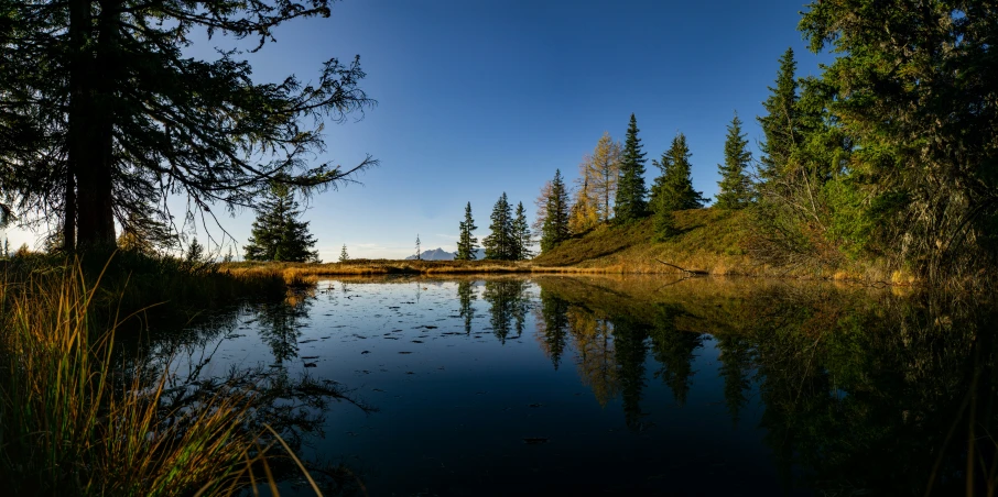 there is a blue lake in the woods