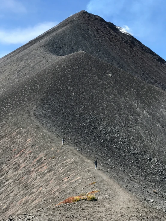 a hill side with plants growing out of the soil