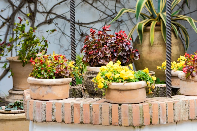 a stone slab containing many potted plants