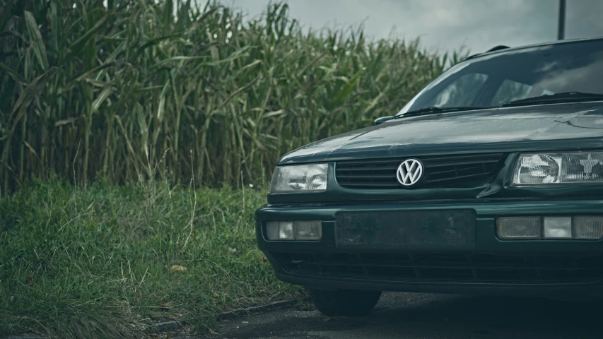 the green vw golf cabder in front of some corn