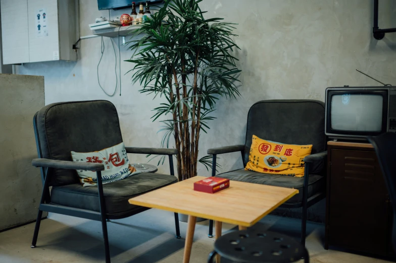 two chairs with cushions are facing each other in a room