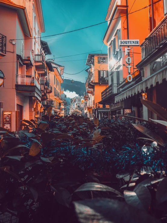 a street full of people and a lot of bicycles