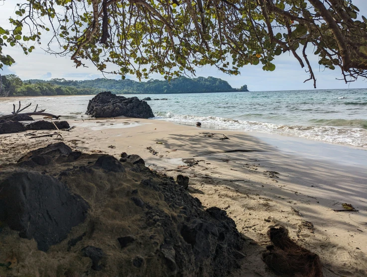 there are footprints on the sand along the ocean