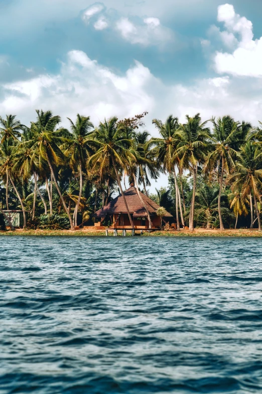 a house that is on some water by trees