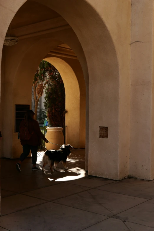 a dog standing by an entrance way, looking at someone