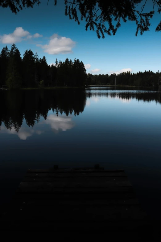 a boat on a body of water near trees