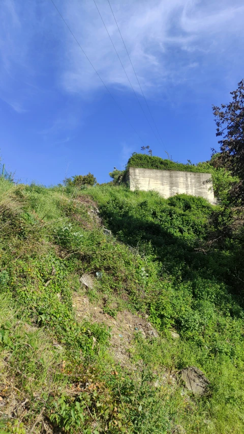 a bench that is on the side of a hill