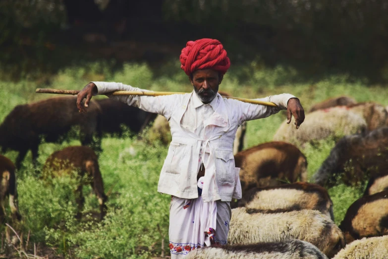 a herder with red turban and a stick in the middle of a field