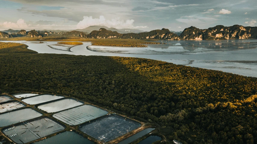 a view from an air plane of some green hills