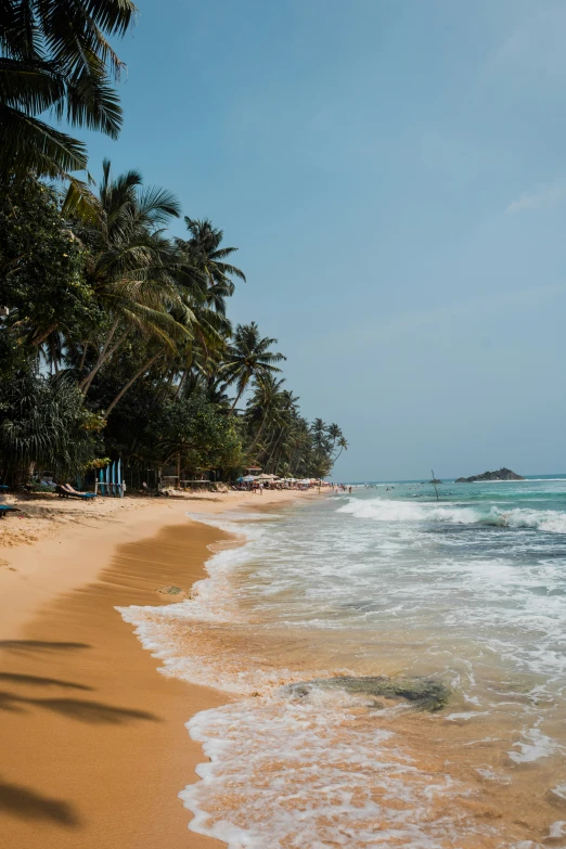 a beautiful beach with palm trees surrounding it