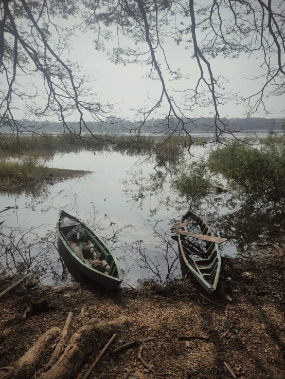 two boats are on the shore near water